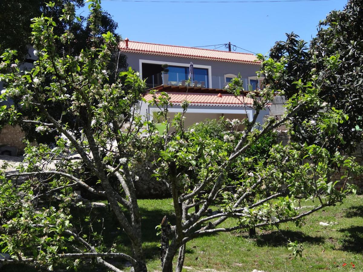Casa Da Riguerinha Bed and Breakfast Monsanto Zewnętrze zdjęcie
