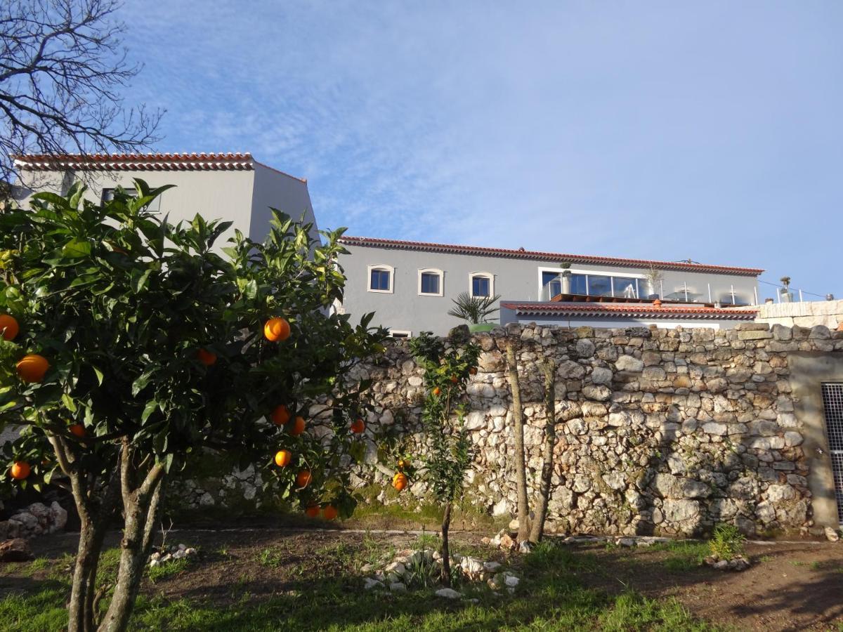 Casa Da Riguerinha Bed and Breakfast Monsanto Zewnętrze zdjęcie